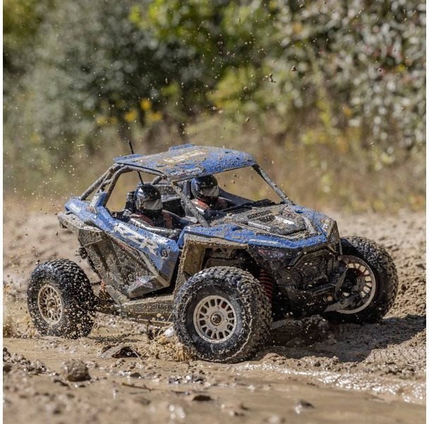 RC car Losi RZR Rey 1:10 4 WD Polaris