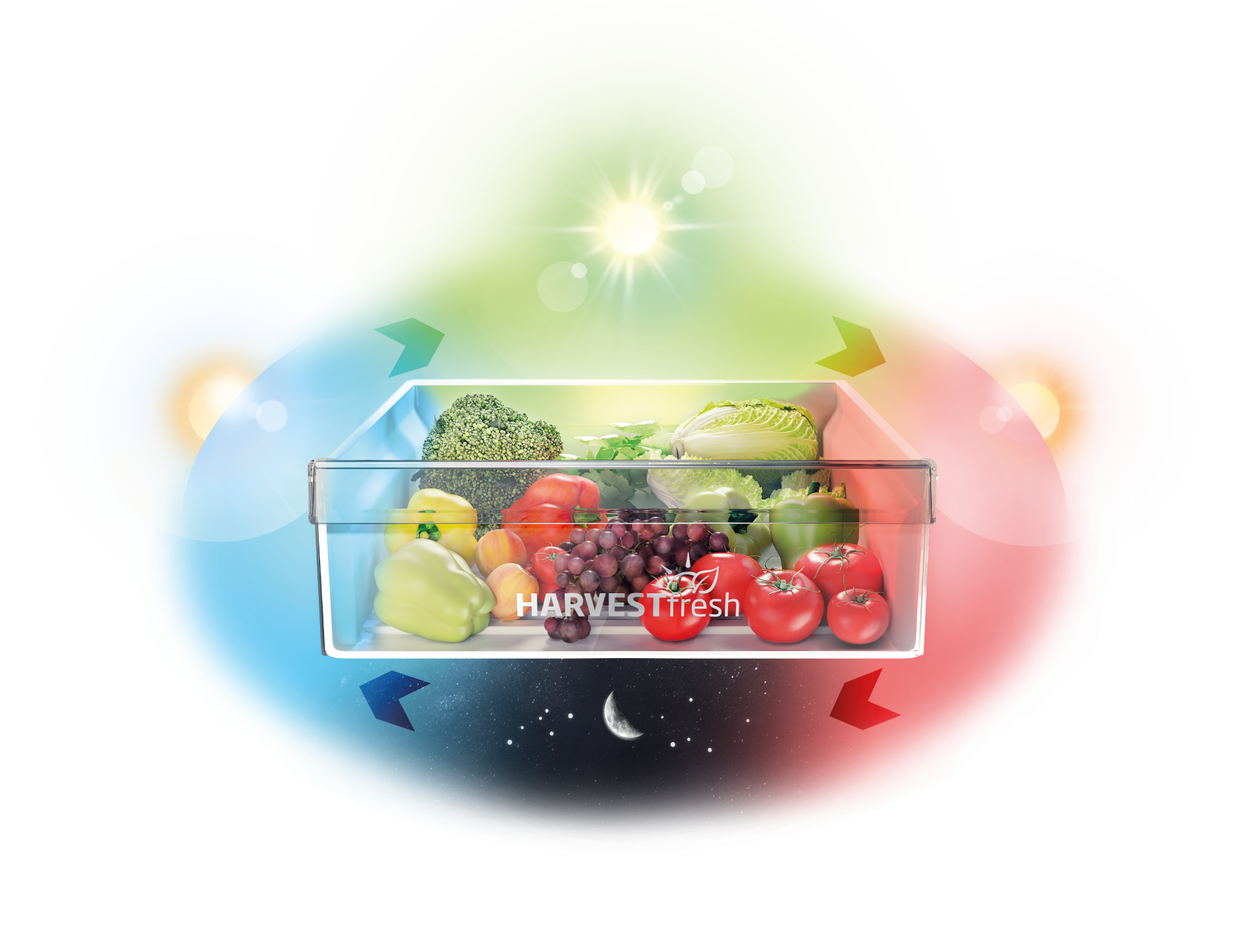 Samostatne stojaca chladnička s mrazničkou BEKO B5RCNE565HGB