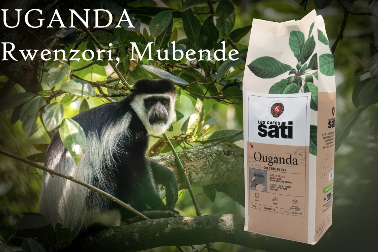 Café Sati Ouganda Colobus Blend coffee beans, 500g
