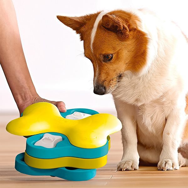 Brain teaser for dogs Nina Ottosson Tornado puzzle