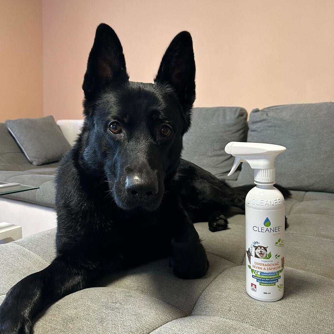 Stain remover CLEANEE Eco pet stain and odour remover 500 ml