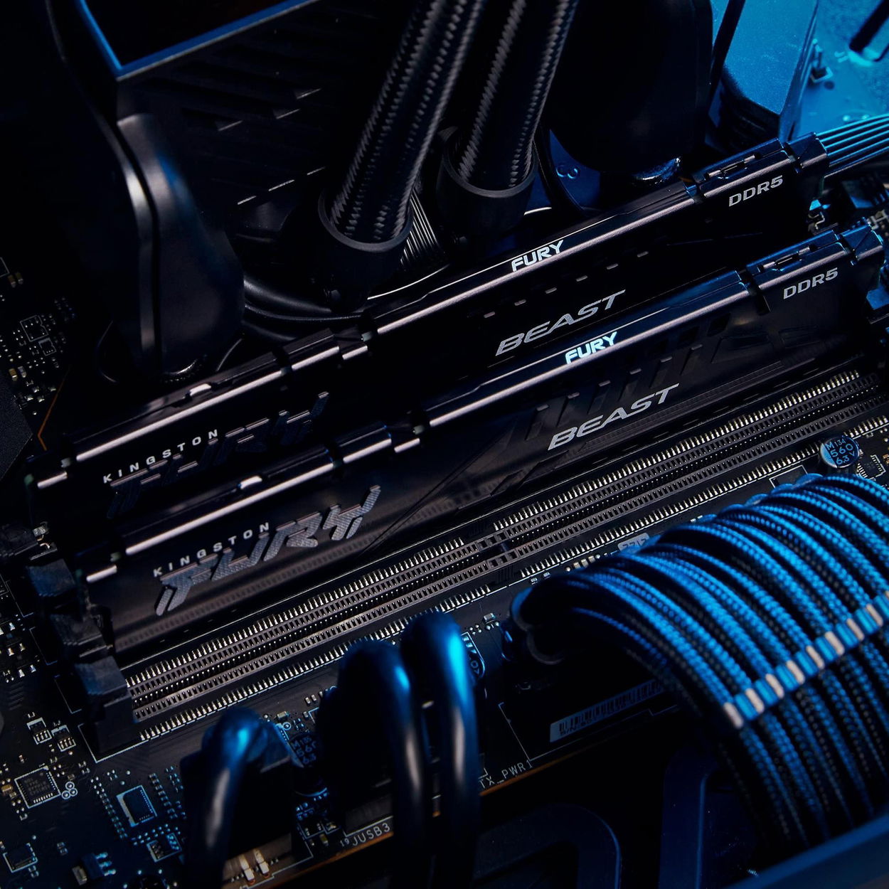 Kingston FURY 16GB DDR5 6000MT/s CL36 Beast Black EXPO