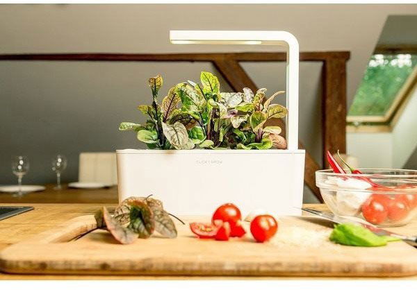 Click And Grow Smart Garden 3 bílá