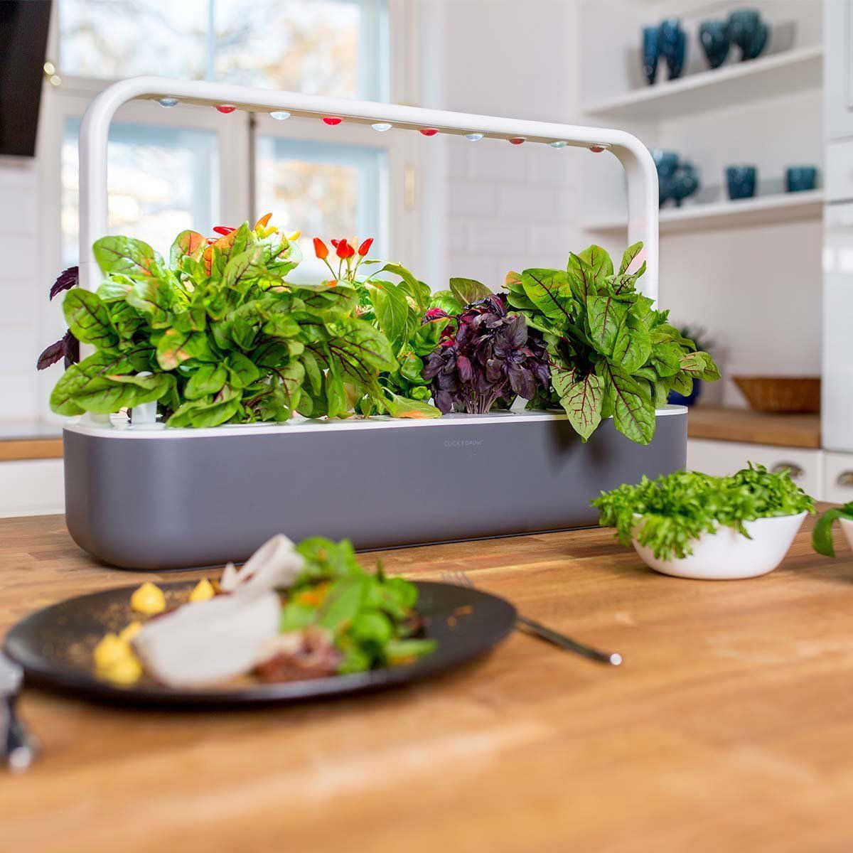 Click and Grow Smart Garden 9 šedý