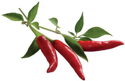 Sazenice Click And Grow Chilli Paprička