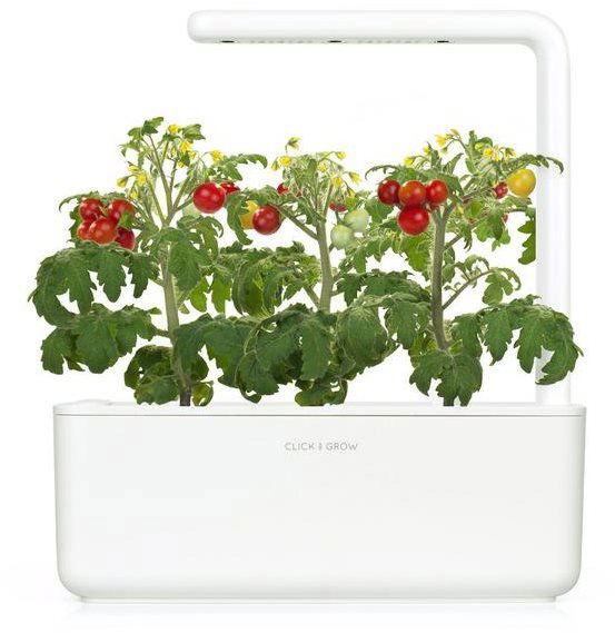 Sazenice Click And Grow Rajče mini Sada 3ks náplní včetně semínek, nano Smart půda, úspora 95%