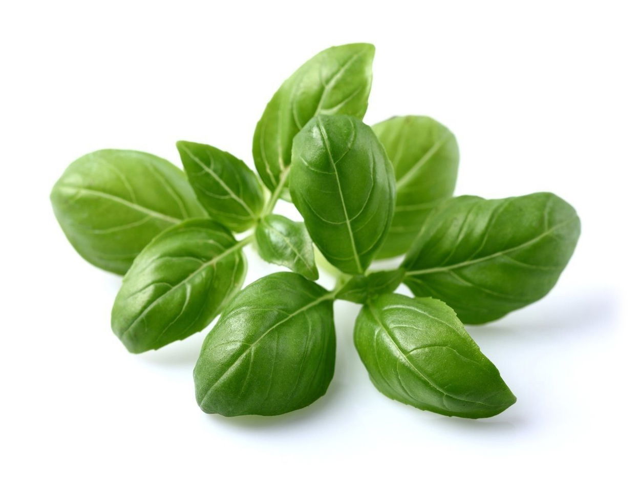 Sazenice Click and Grow Bazalka