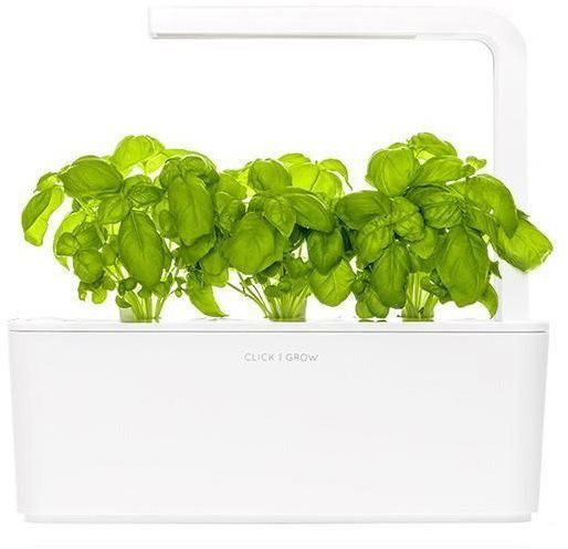 Sazenice Click and Grow Bazalka