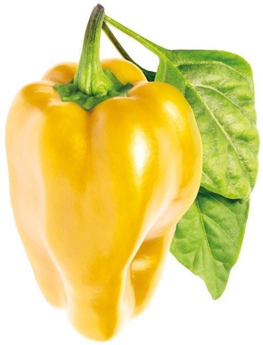 Sazenice Click & Grow Sladká žlutá paprika