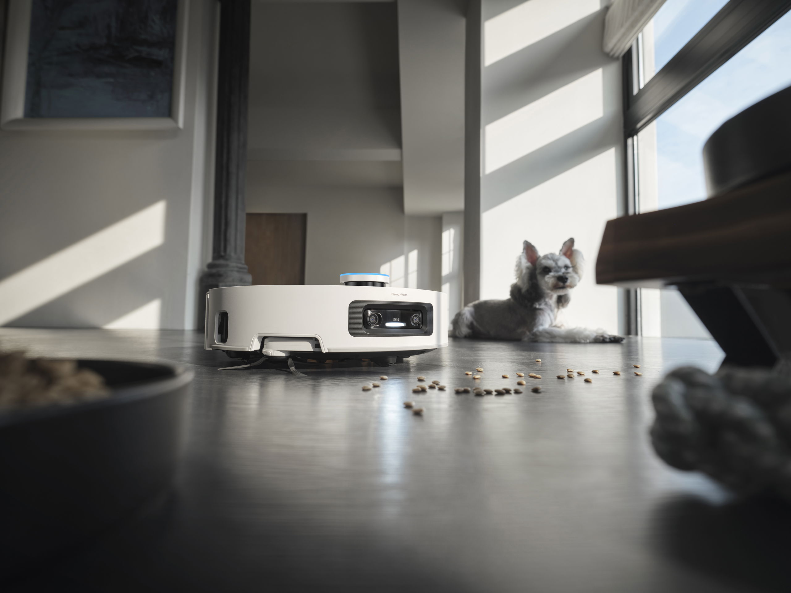 Dreame Aqua 10 Ultra Roller Complete – domácí mazlíčci