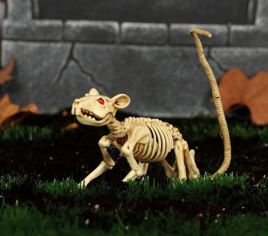 Guirca Rat Skeleton Decoration, Halloween - 20cm