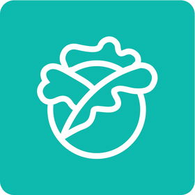 Lednice GORENJE NRK61CS2W4