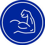 GS Condro Diamant joint nutrition