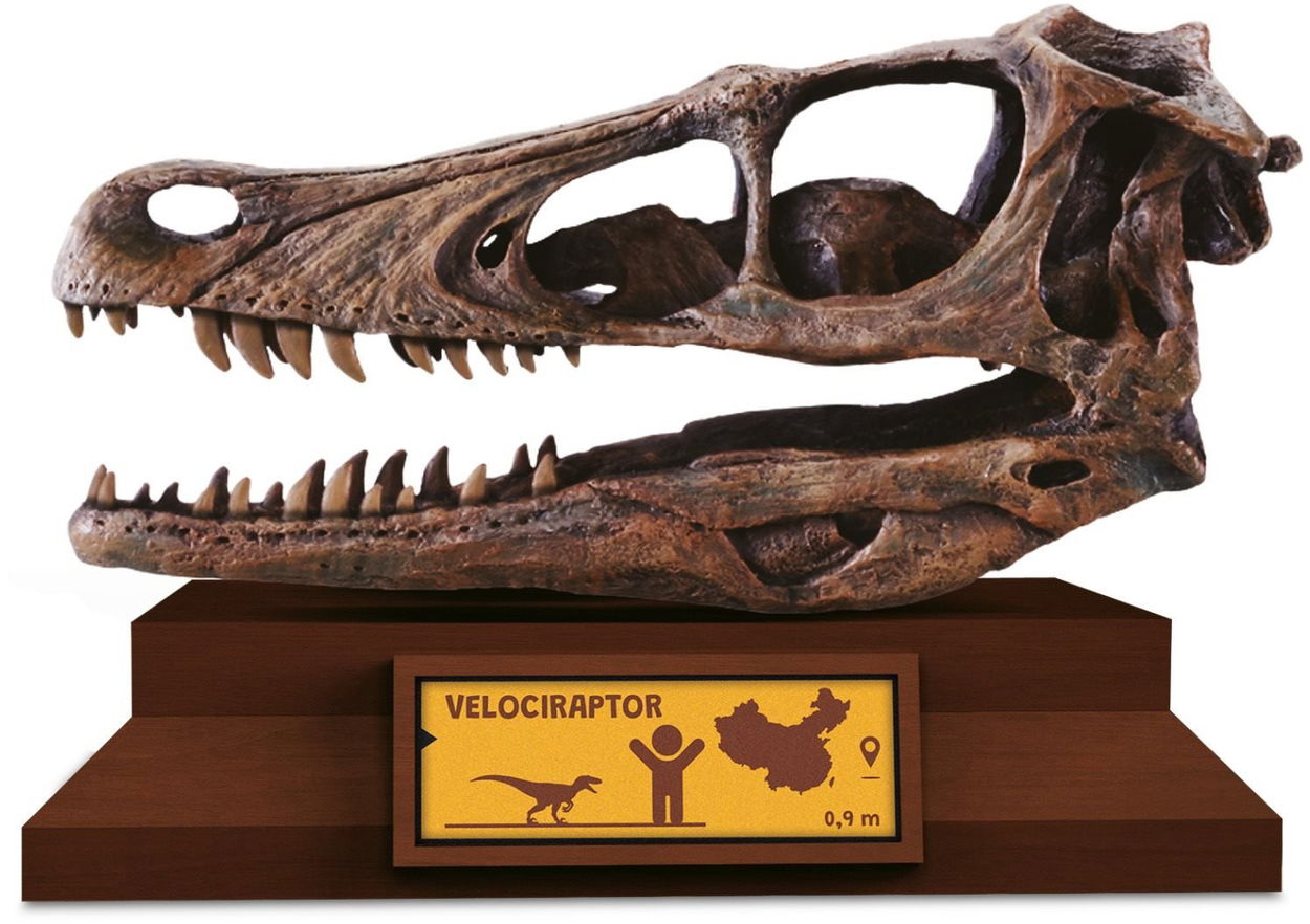 Lovci Lebek Velociraptor