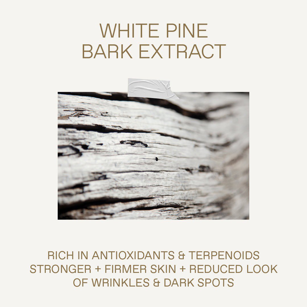 Arckrém KORRES White Pine Restorative Overnight Facial Cream 40 ml