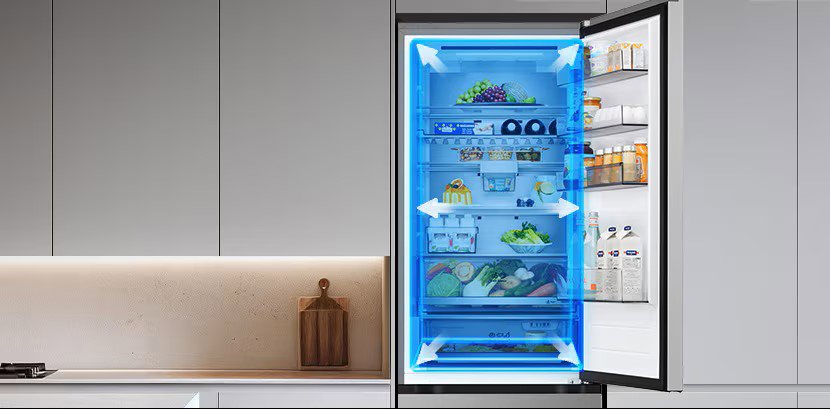 Lednice LG GBBSJ21DPY