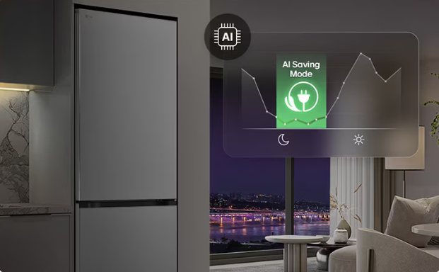 Lednice LG GBBSJ21DPY