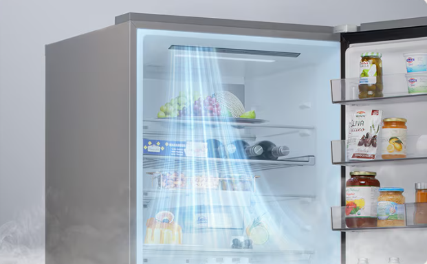 Lednice LG GBBSJ21DPY