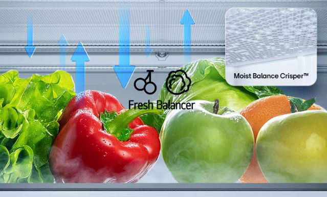 Lednice LG GBBS322APY