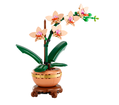 LEGO® Botanicals 10343 Miniaturní orchidej