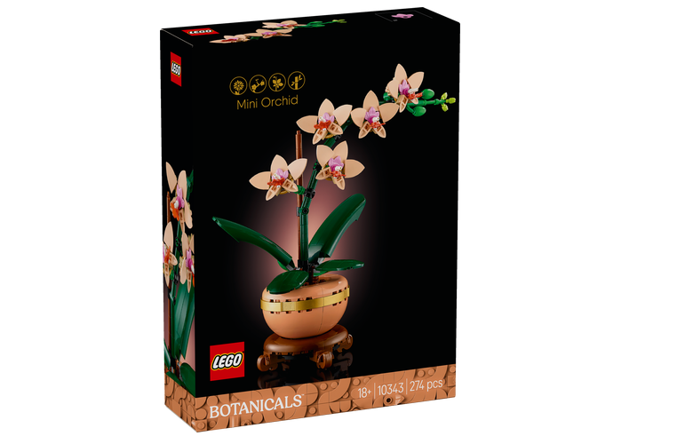 LEGO® Botanicals 10343 Miniaturní orchidej