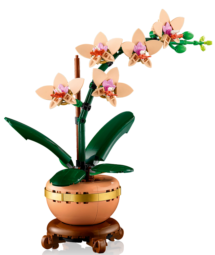 LEGO® Botanicals 10343 Mini-Orchidee