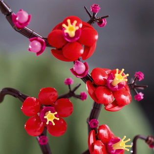 LEGO® Botanicals 10369 Meruňka japonská