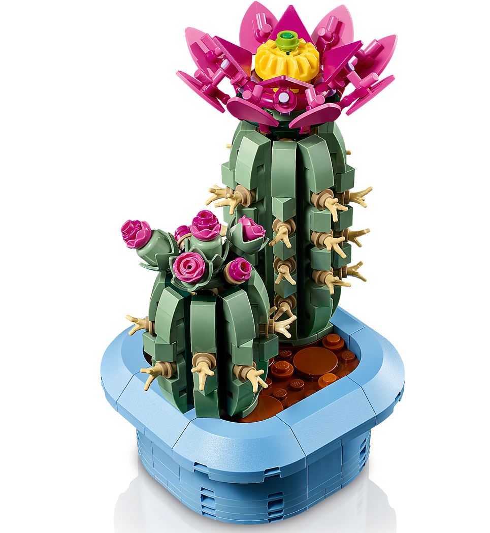 LEGO® Botanicals 11509 Blühender Kaktus