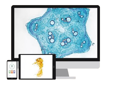 MATATALAB MT3-2 microscope