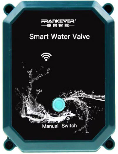 MXM Zigbee smart valve for water consumption in the home Tuya, valve diameter 1 inch (DN 25)