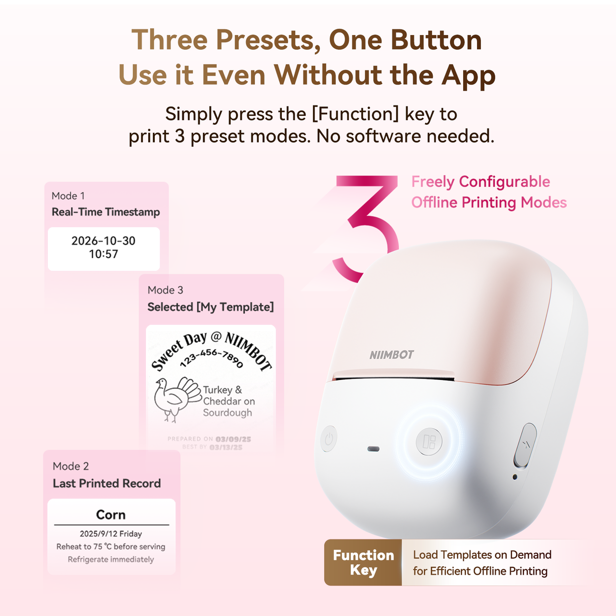 Etikettendrucker Niimbot B2, rosa