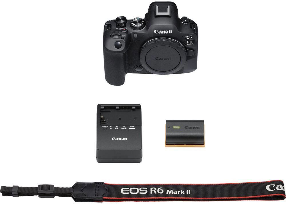 Canon EOS R6 Mark II + RF 24-105 mm f/4-7.1 IS STM