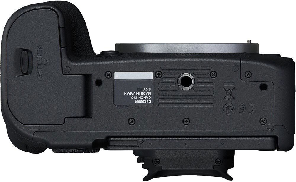 Canon EOS R6 Mark II + RF 24-105 mm f/4-7.1 IS STM
