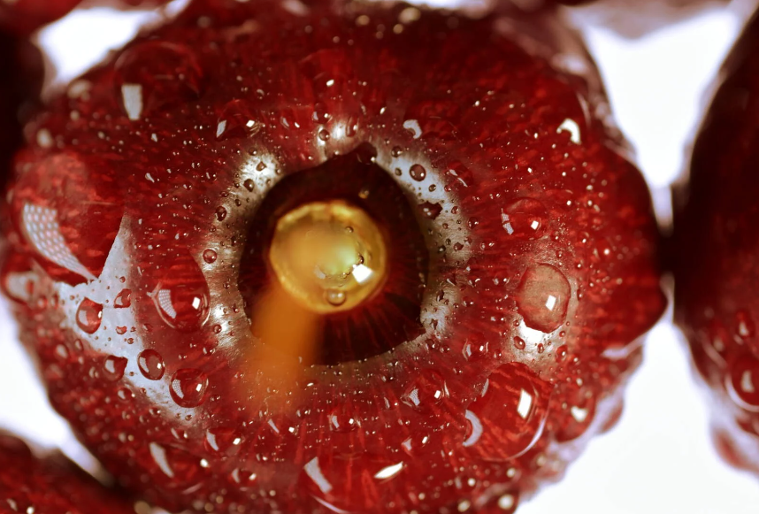 Digitální fotoaparát Nikon Z50 II + Z DX 16-50 mm f/3,5-6,3 VR