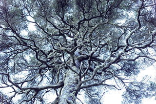 Digitální fotoaparát Panasonic Lumix DC-S5 Mark II tělo