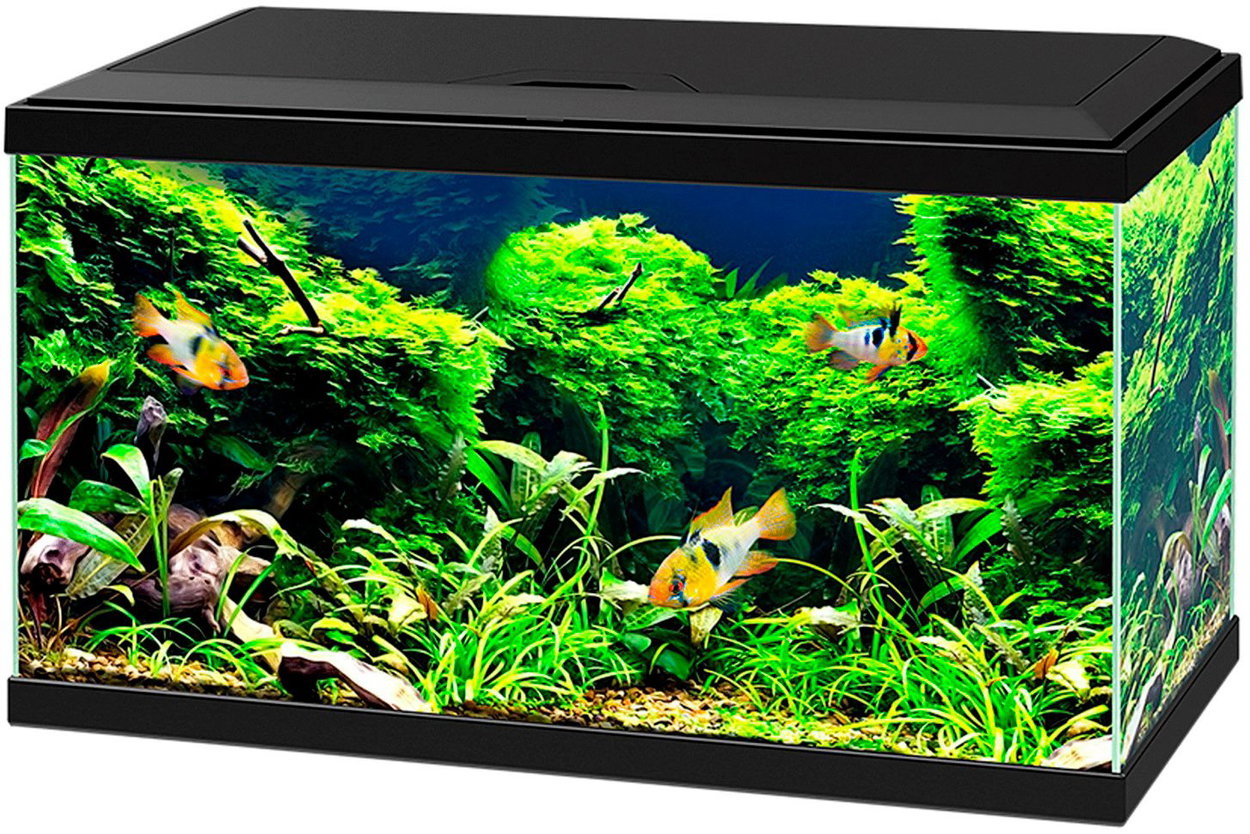 Aquarium set CIANO Aquarium 60 Black