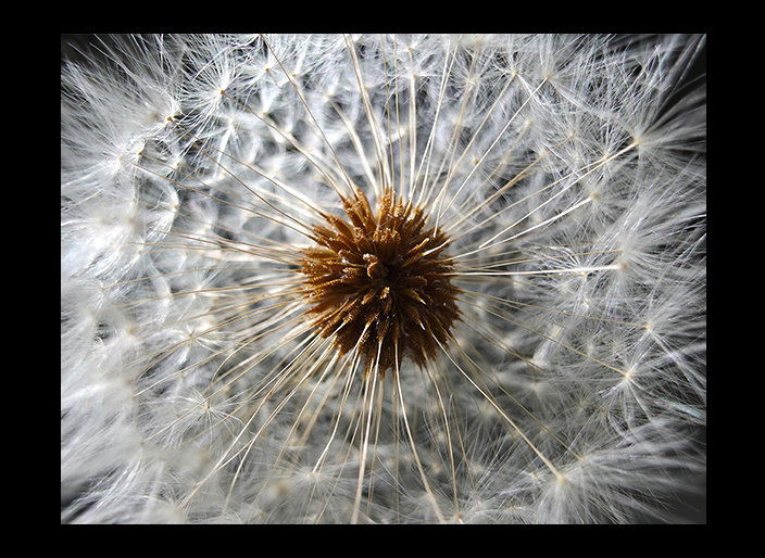 Mobilní telefon Samsung Galaxy S25 Ultra