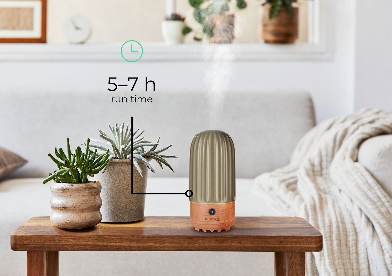 Siguro Dainty Cactus C680E