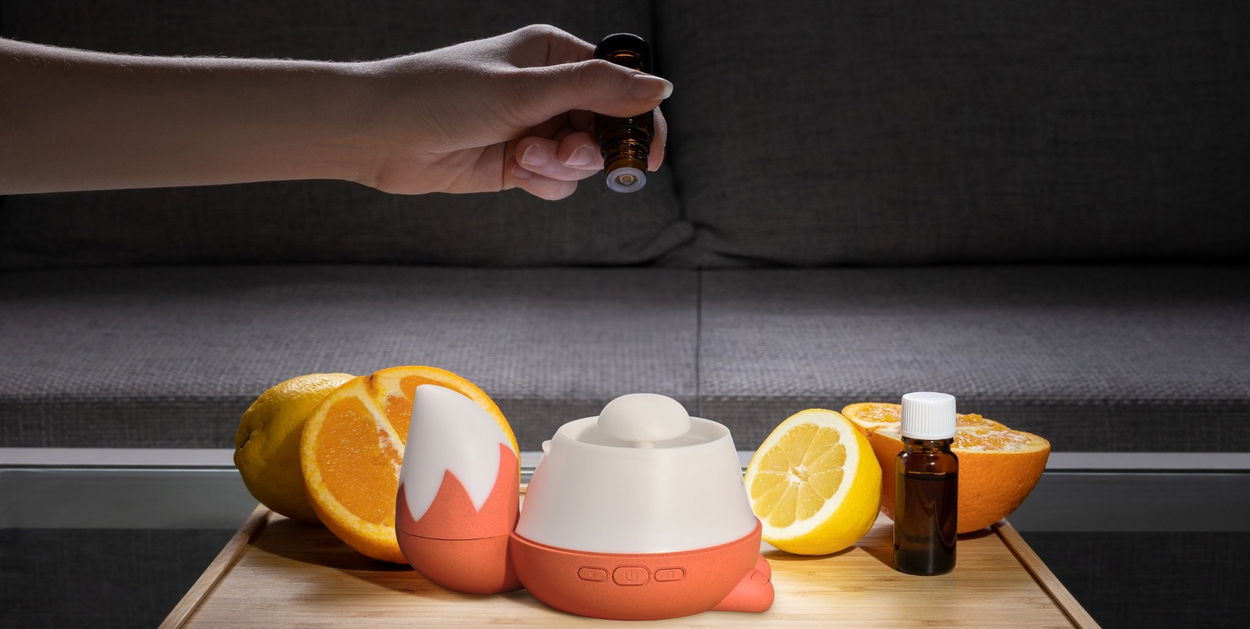 Siguro Fox’s Lullaby K355O