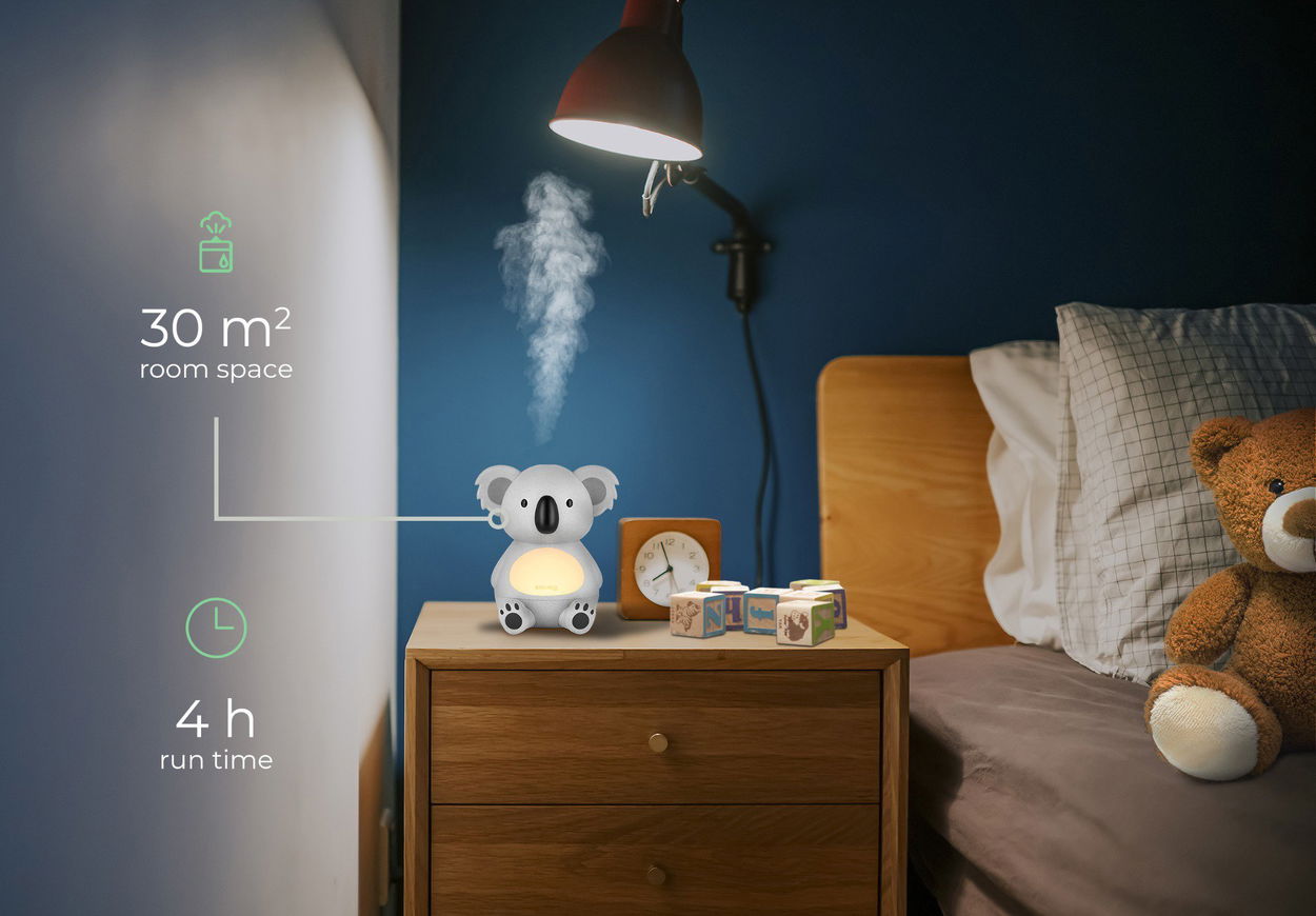 Siguro Koala’s Lullaby K355Y