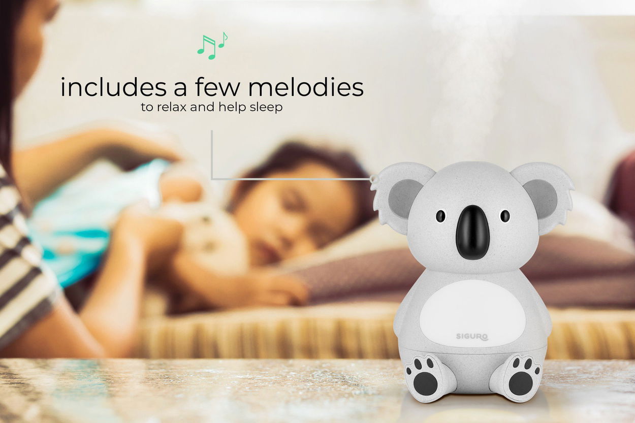 Siguro Koala’s Lullaby K355Y