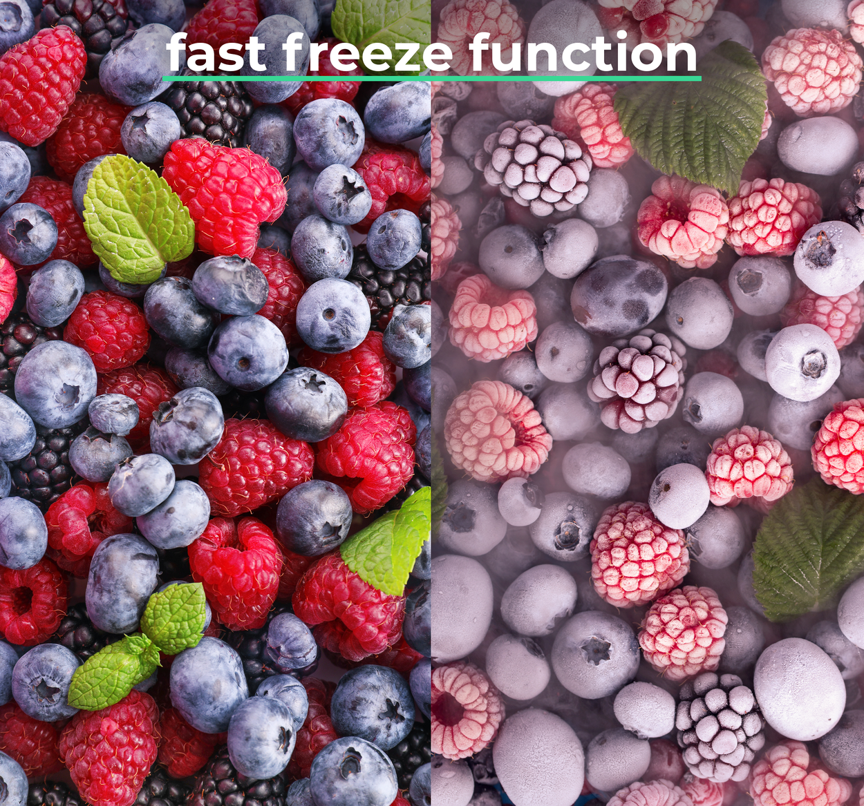 Lednice Siguro E252S