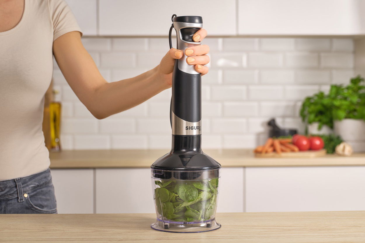 Siguro AeroMix H580SU Maxi