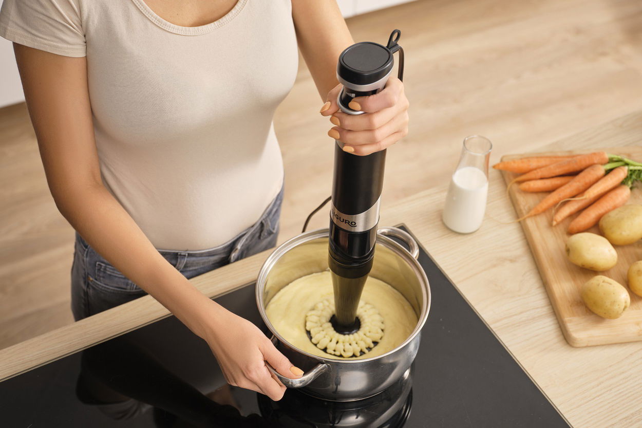 Siguro AeroMix H580SU Maxi