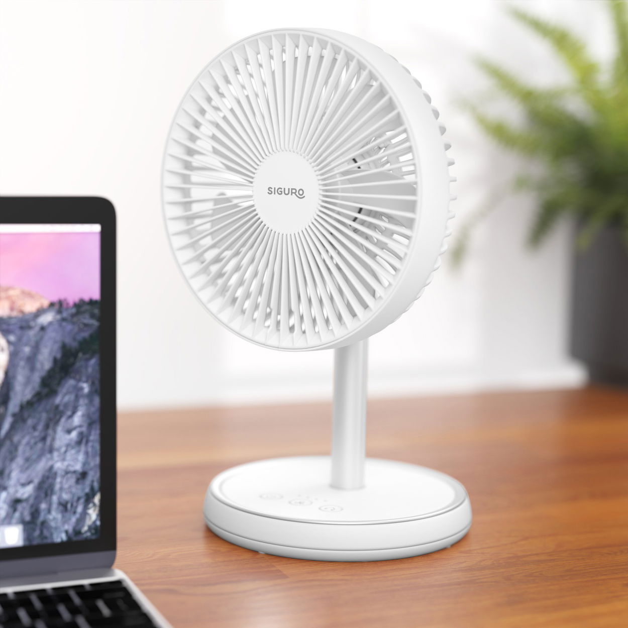 Siguro FT-D100W Urban Flex