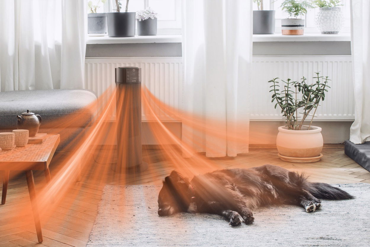 Siguro Theravox M300B