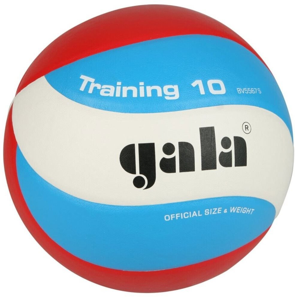 Volejbalový míč Gala Training BV 5567 S
