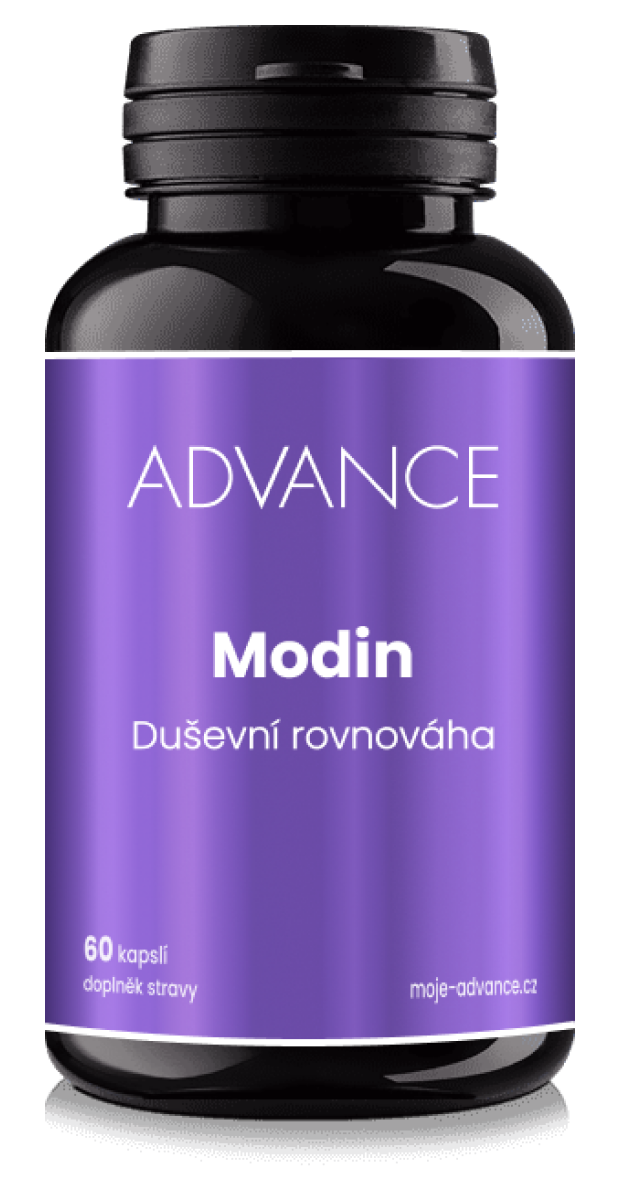 ADVANCE Modin