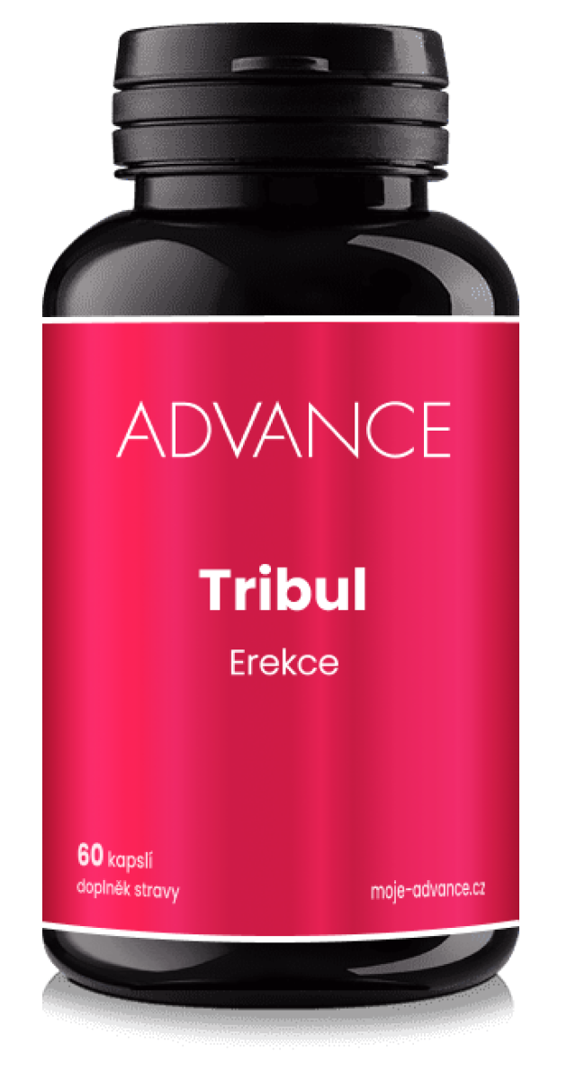 ADVANCE Tribul