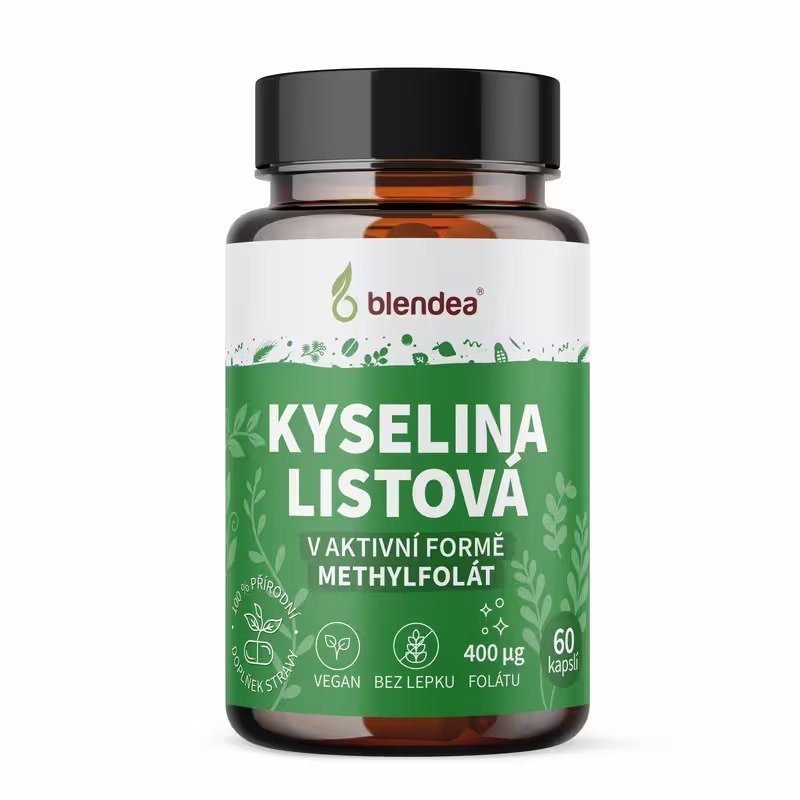 Blendea Folic Acid